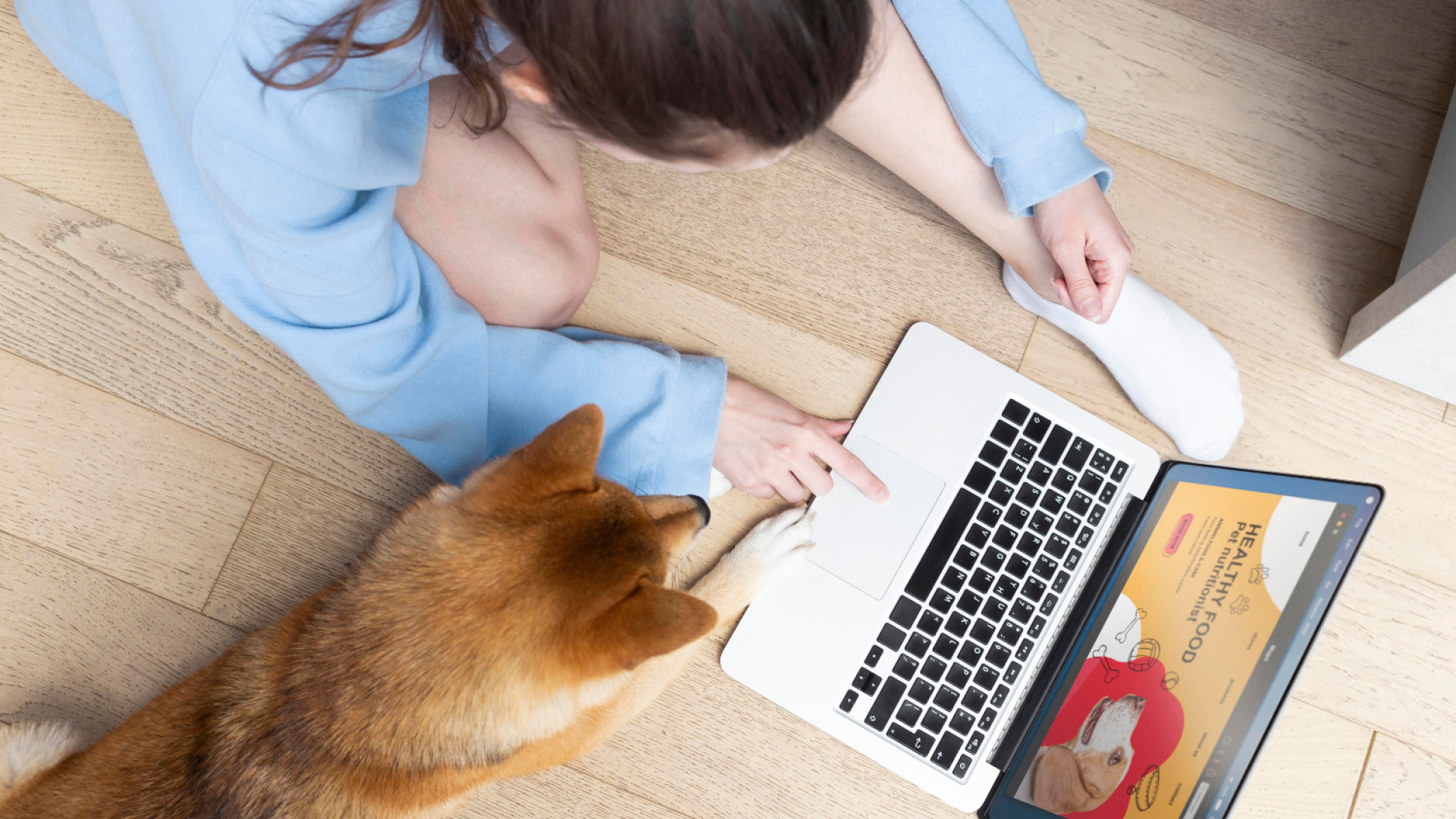 Le plaisir pour les passionnés de consulter un blog pour animaux