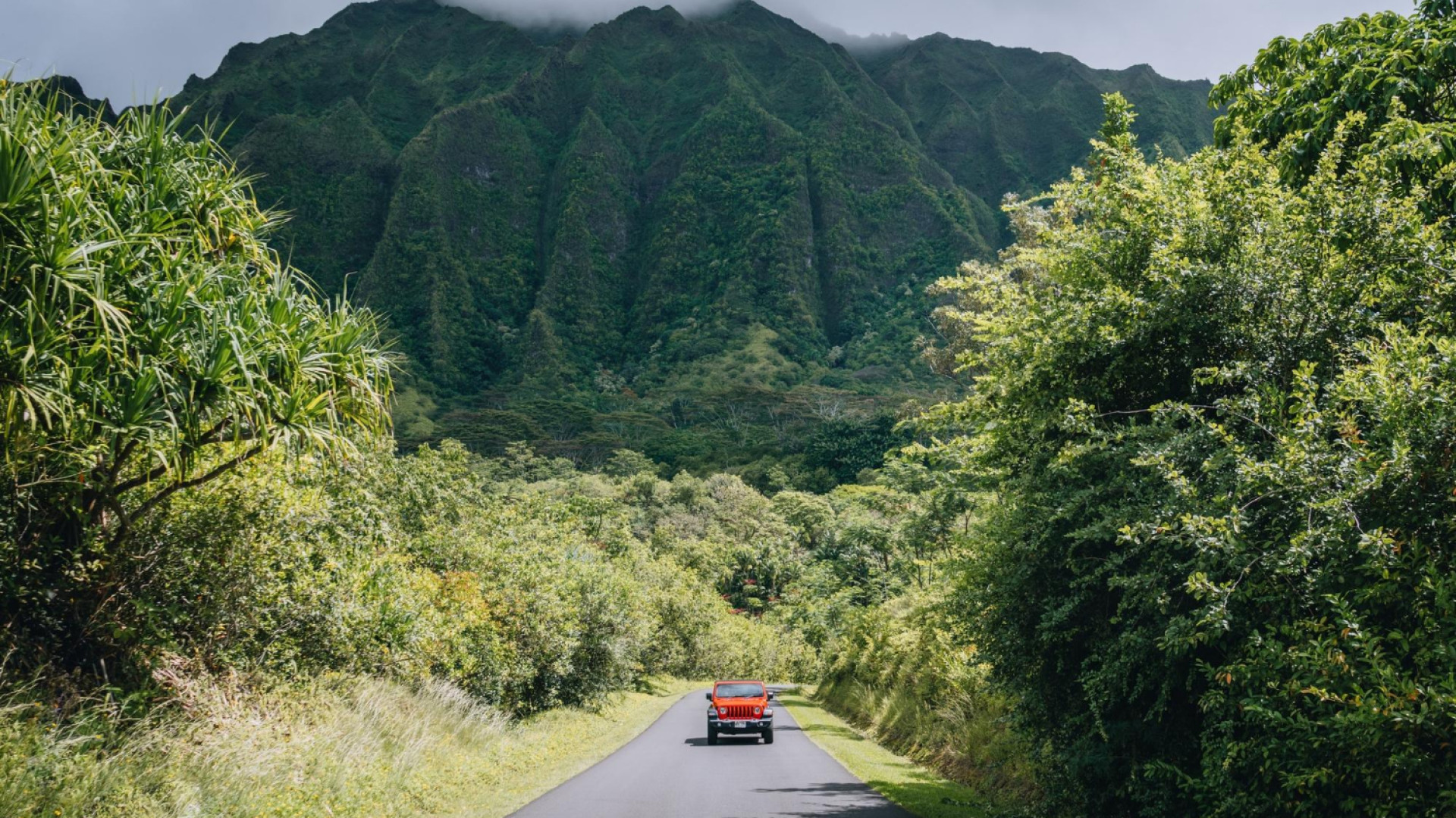 Les meilleurs types de voitures à louer pour explorer la Martinique